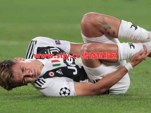 谁还记得集齐这套装，连自家狗都能变叛徒？