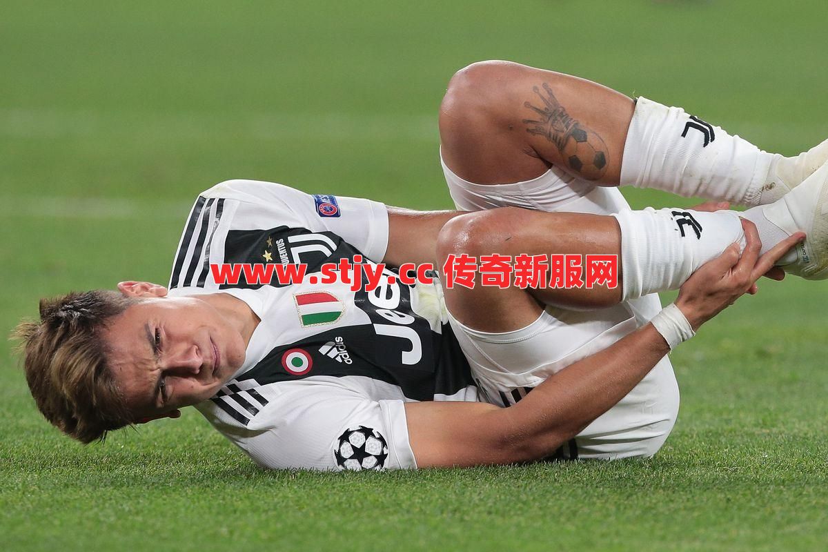 谁还记得集齐这套装，连自家狗都能变叛徒？